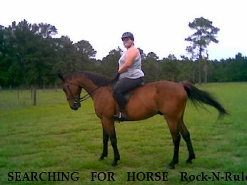 SEARCHING FOR HORSE Rock-N-Rule, Near LaCrosse, FL, 00000